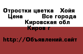 Отростки цветка  “Хойя“ › Цена ­ 300 - Все города  »    . Кировская обл.,Киров г.